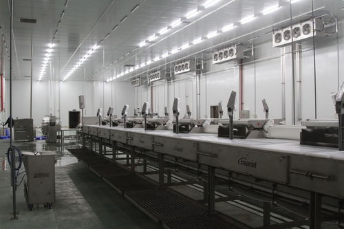 贵州黄牛产业集团大方县食品公司 打造西南地区标准化屠宰加工示范基地