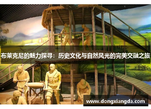 布莱克尼的魅力探寻：历史文化与自然风光的完美交融之旅