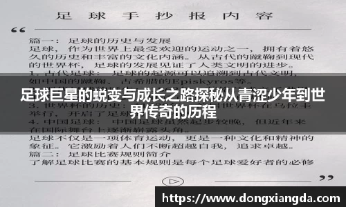 VSport胜利因您更精彩